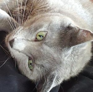 Meet your Posher, Eliza